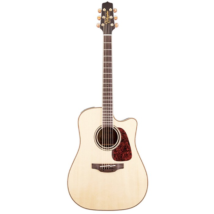 Dreadnought Ctw Elet Pro 4 Series