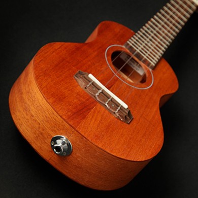 Ukulele concerto Elet G Series