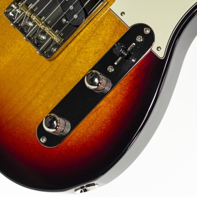 R66 Custom Shop PT Williams