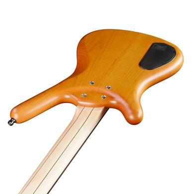 Corvette Basic 4 Honey Violin Transparent Satin