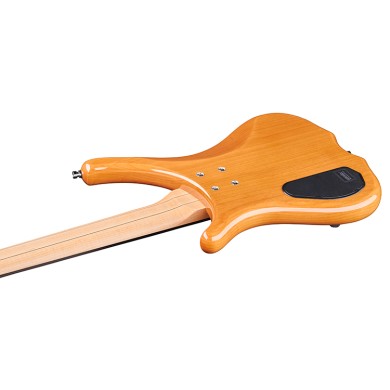 Infinity 5 Fretless Natural Trasparent High Polish