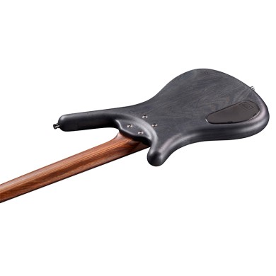 Corvette Std Ash 5 Fretless Nirvana Black Transpar