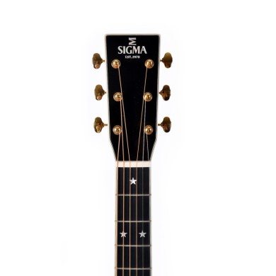 Special Edition Dreadnought elettrificata nera