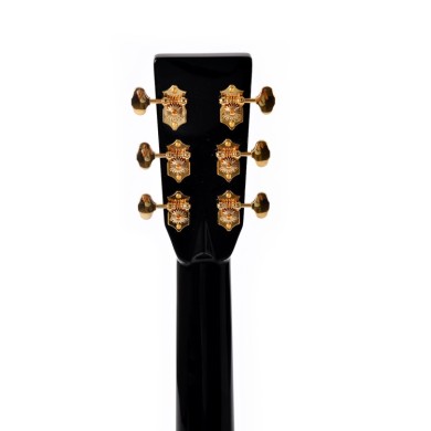 Special Edition Dreadnought elettrificata nera