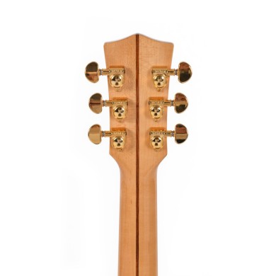 SG Grand Jumbo elettrificata