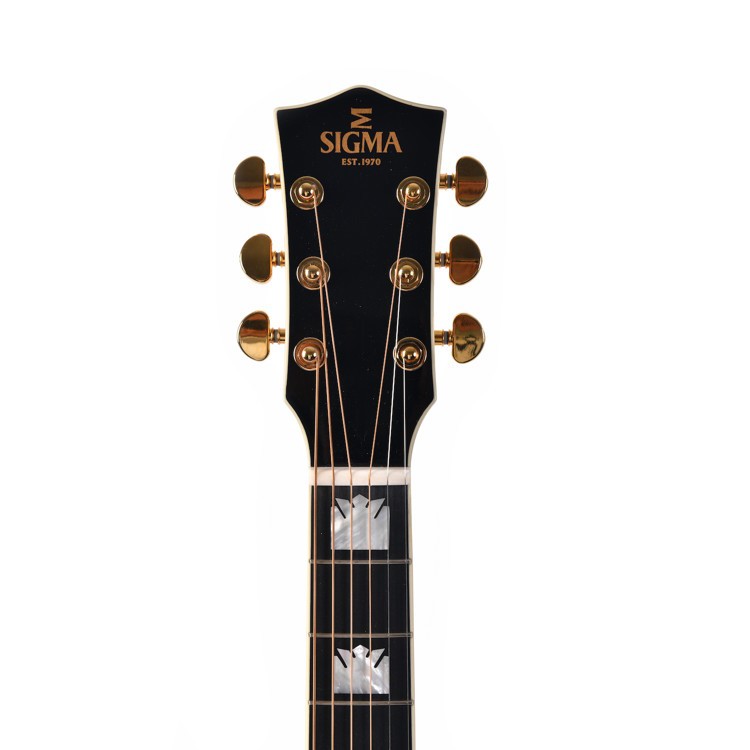 Special Edition Dreadnought slope elettrificata