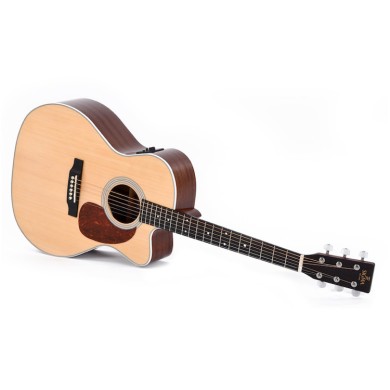 1 Jumbo cutaway elettrificata