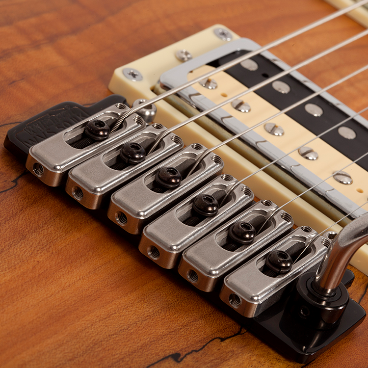 C-1 EXOTIC SPALTED MAPLE-SNVB