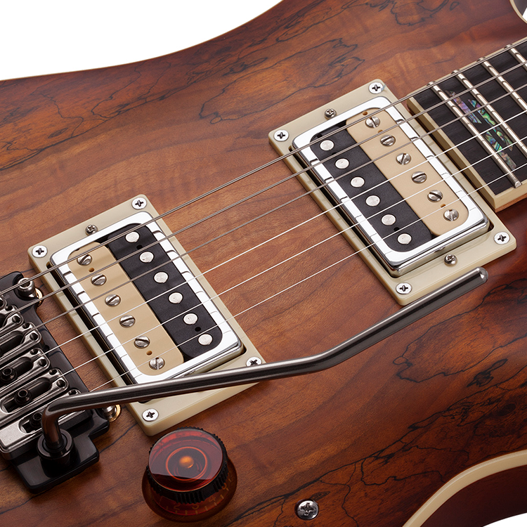 C-1 EXOTIC SPALTED MAPLE-SNVB