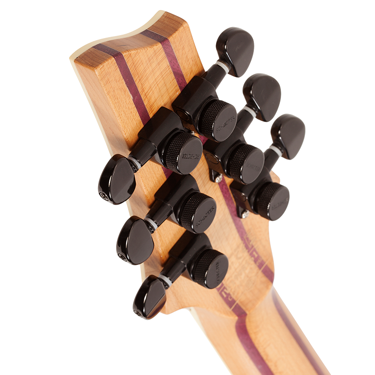 C-1 EXOTIC SPALTED MAPLE-SNVB