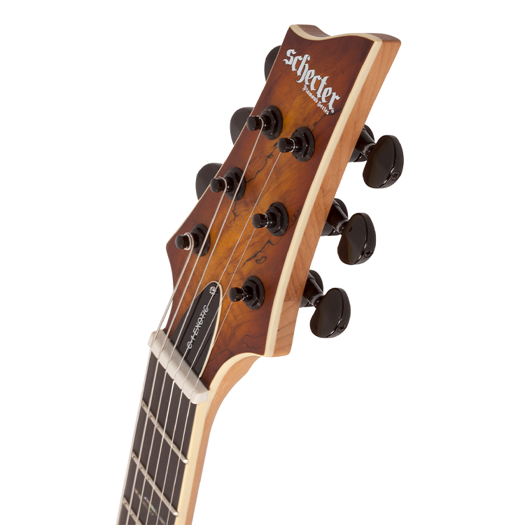 C-1 EXOTIC SPALTED MAPLE-SNVB