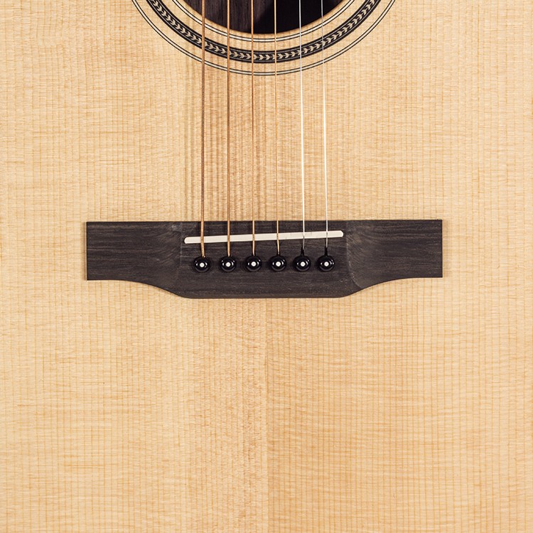 03 Rosewood Dreadnought Elet