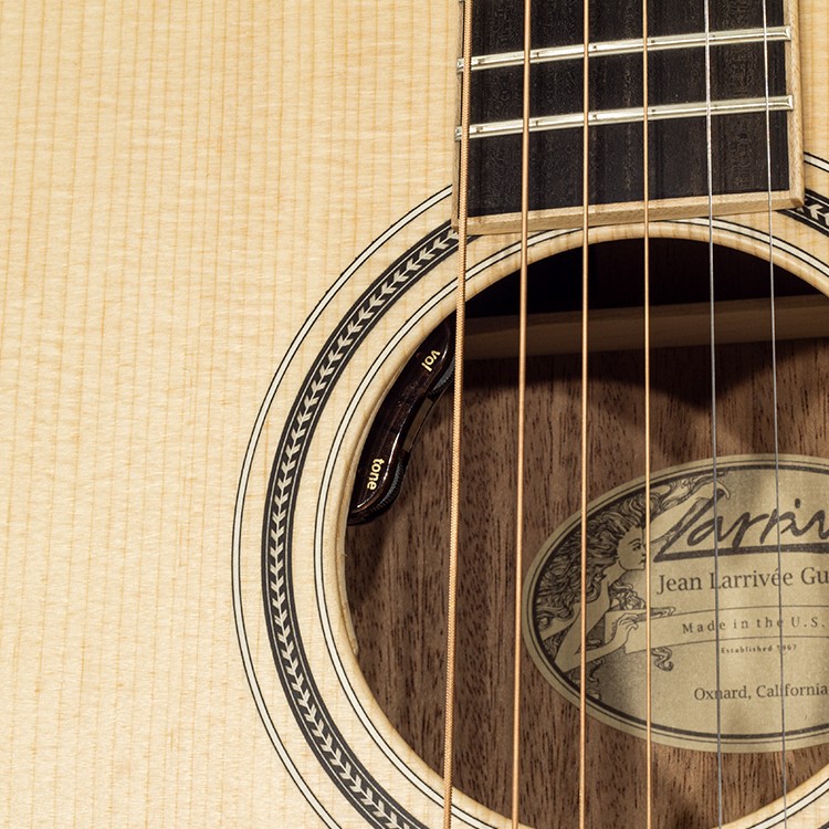 03 Mahogany Larrivee Elet