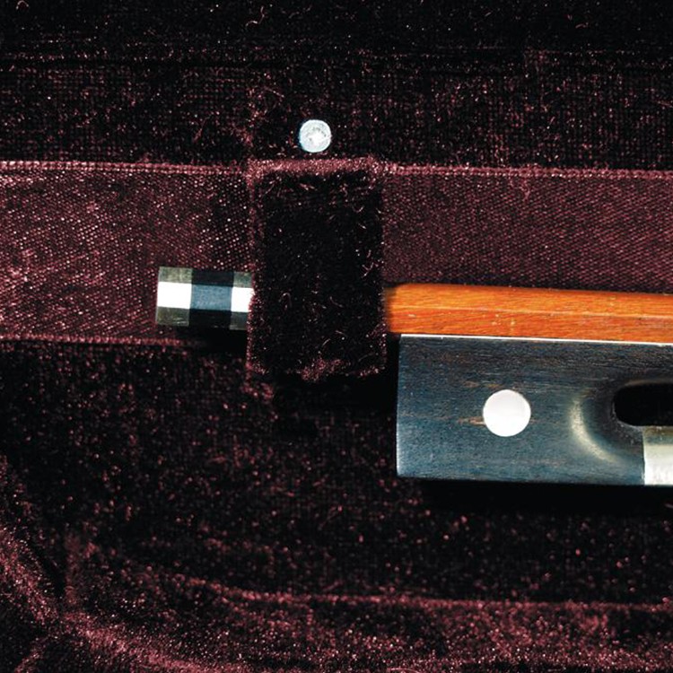 Custodia Semi-Rigida Deluxe Violino 3/4