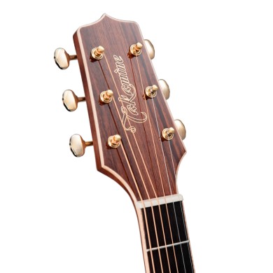 Dreadnought Ctw Elet G Series
