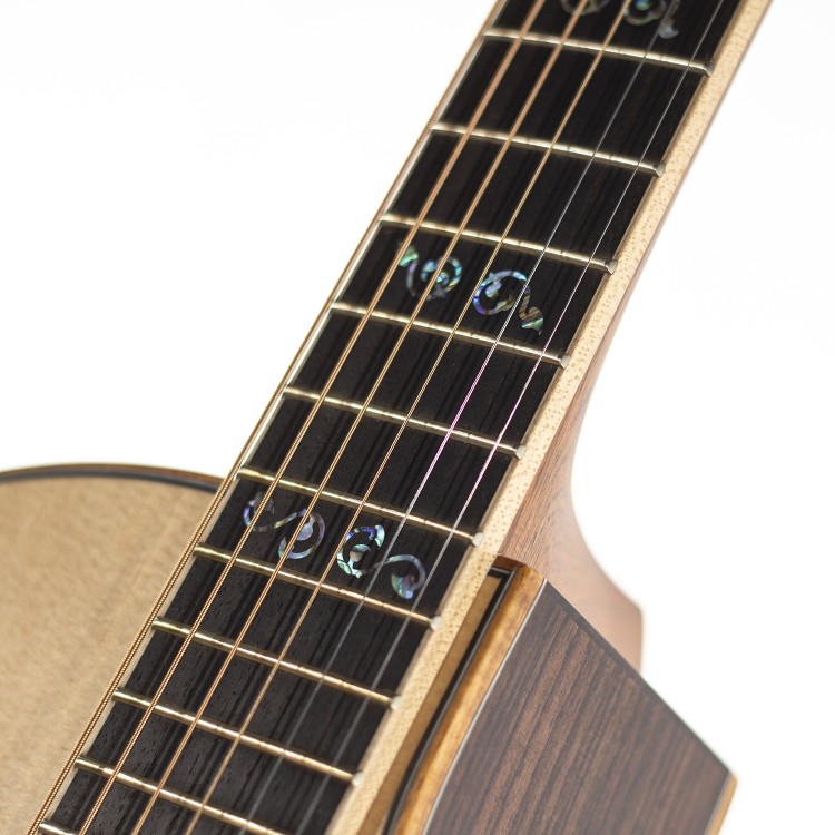 03 Deluxe SE Larrivee Venetian Ctw Elet
