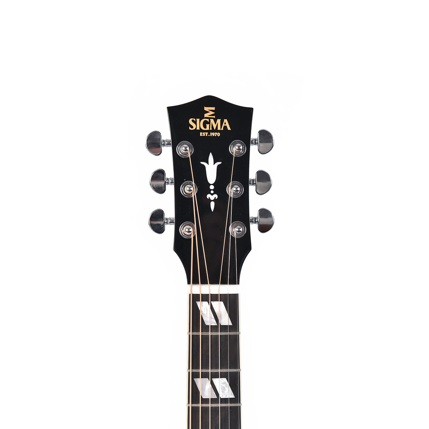 SG Dreadnought elettrificata autumn burst
