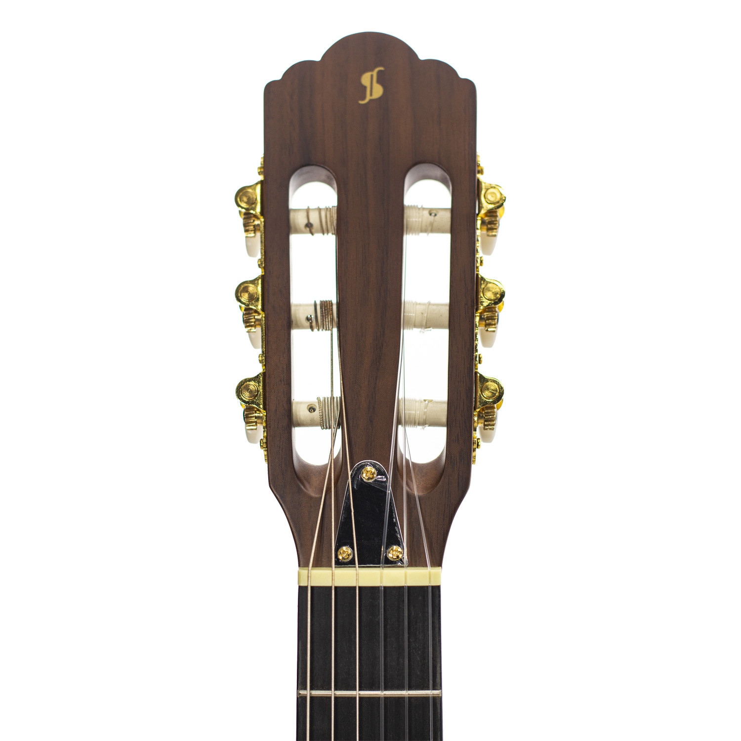 Classica solid body elettrificata nera