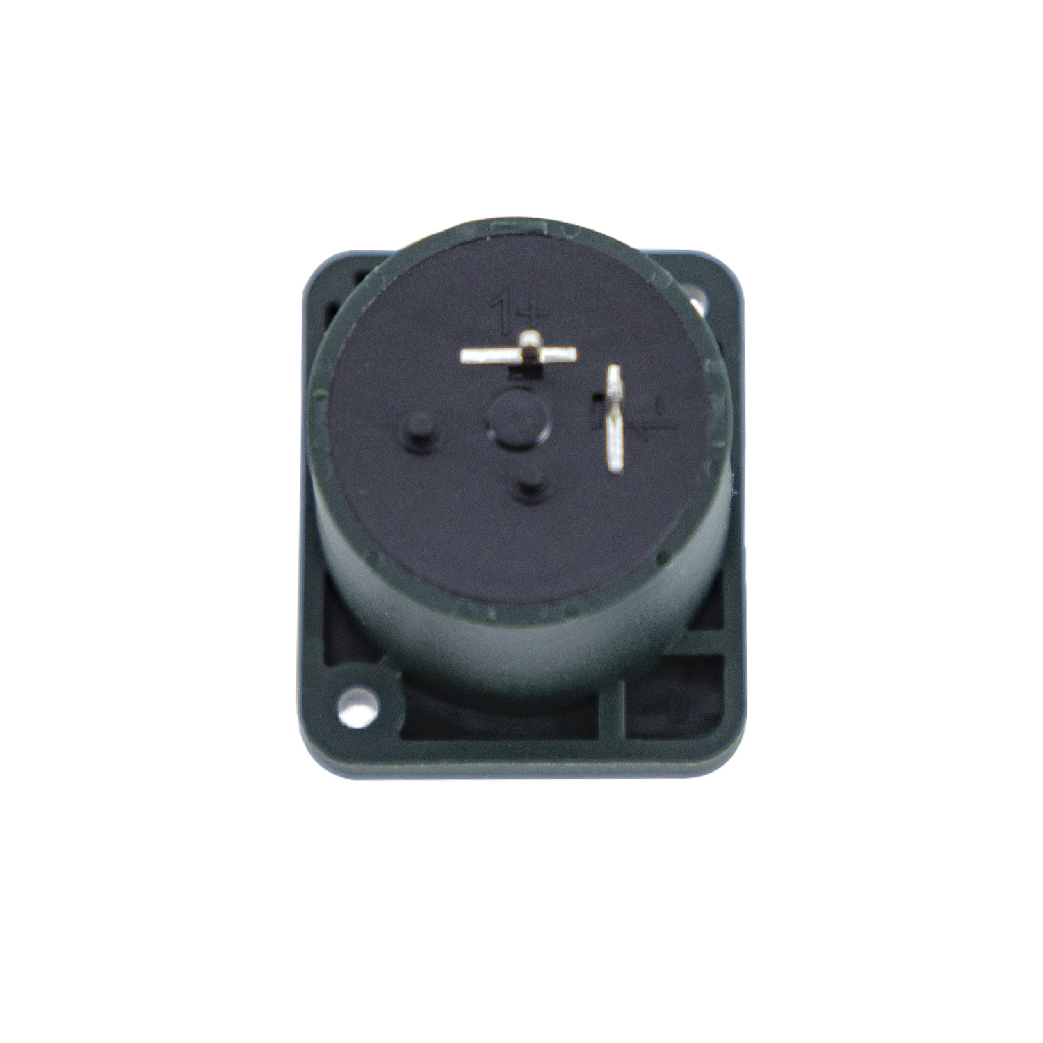 Speakon Jack Gnome CAB