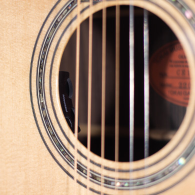 Dreadnought elettrificata natural