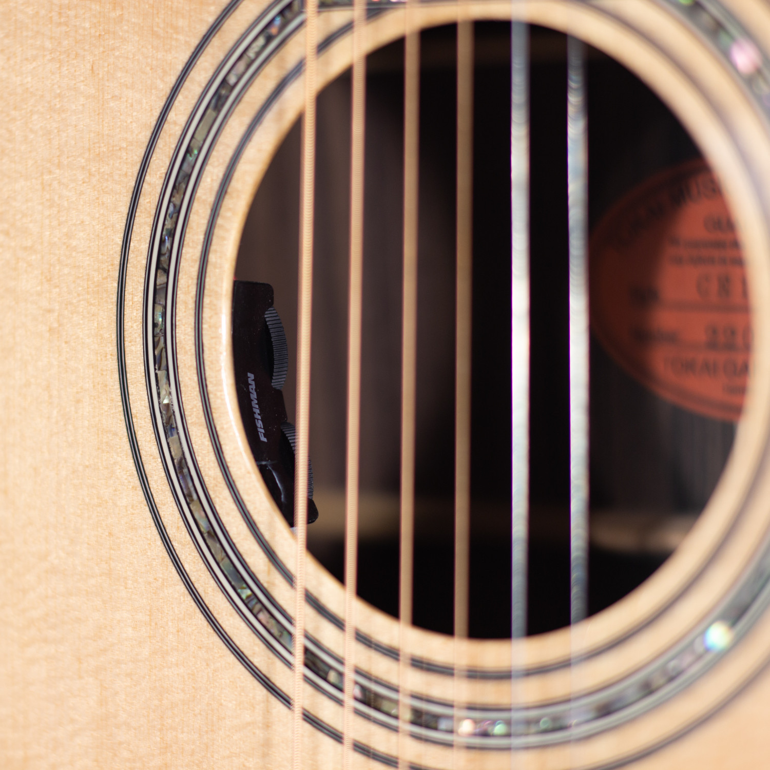 Dreadnought elettrificata natural