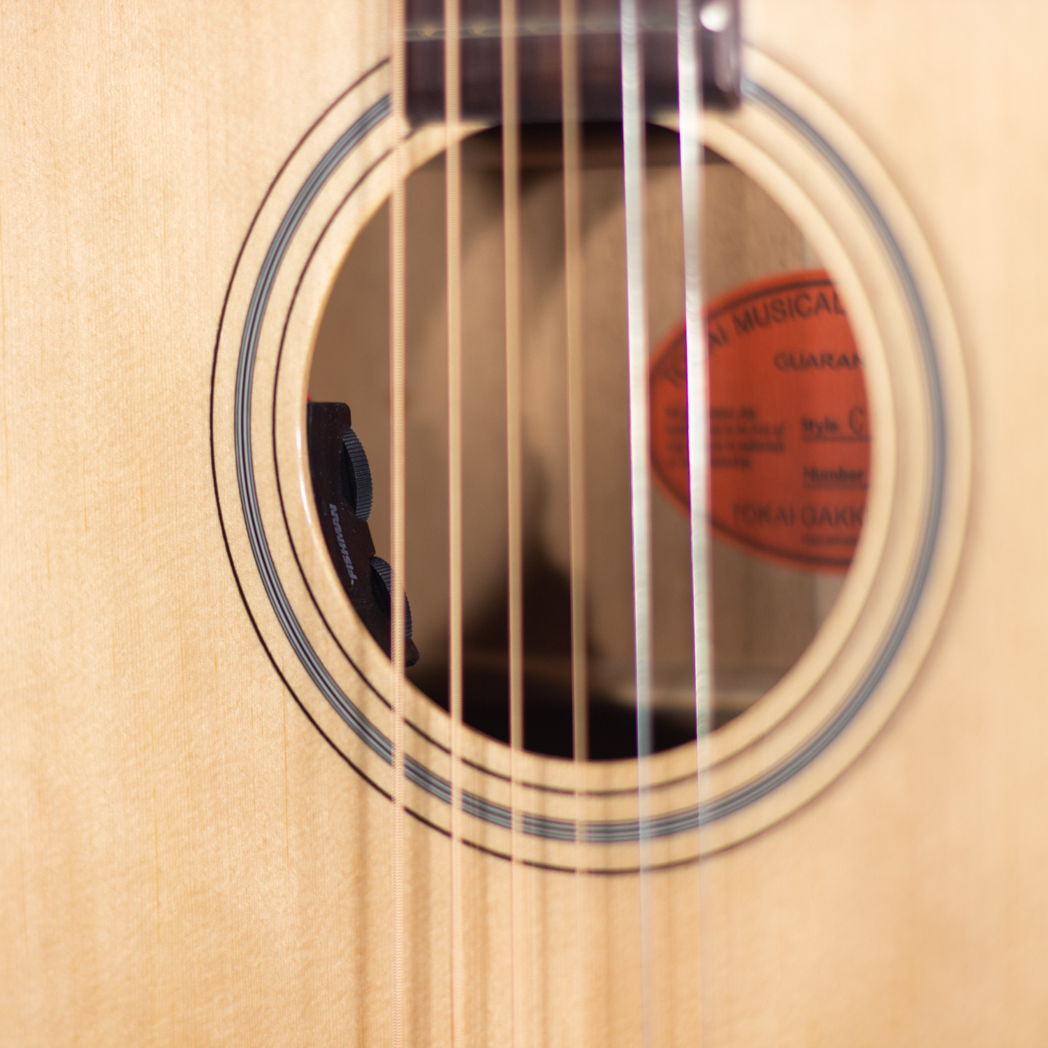 OM cutaway elettrificata natural