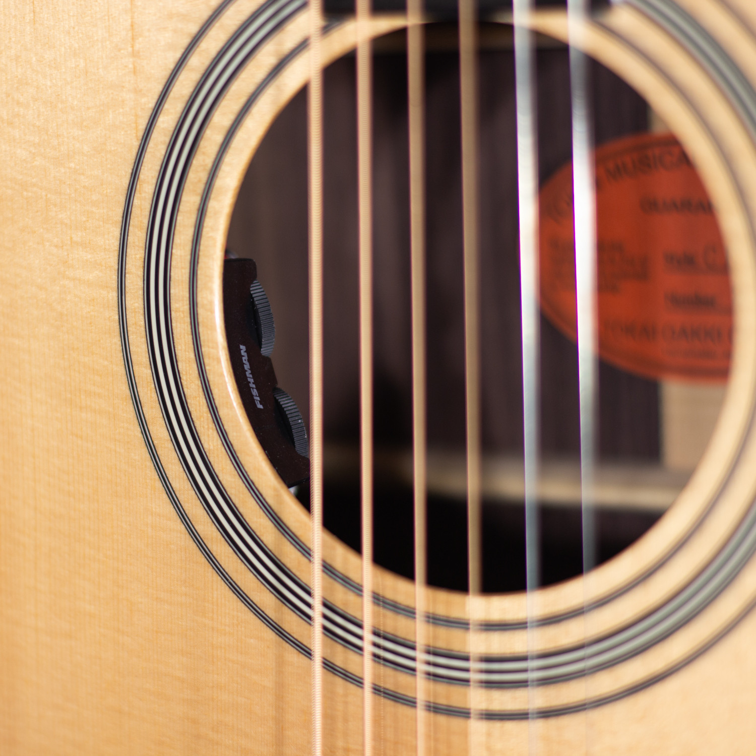 Dreadnought cutaway elettrificata natural