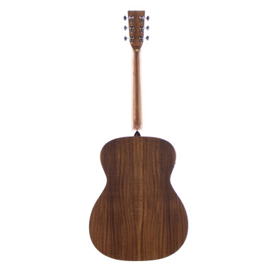 OM elettrificata koa