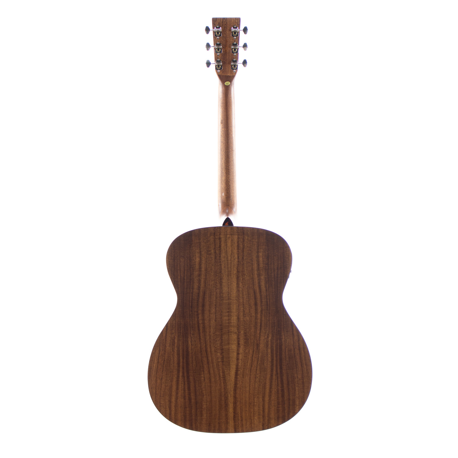 OM elettrificata koa