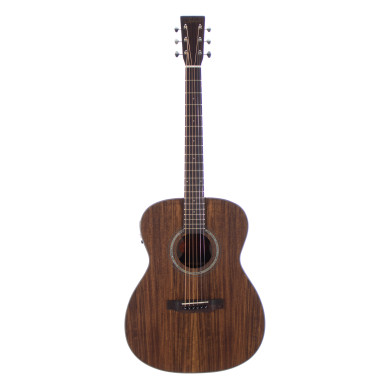 OM elettrificata koa