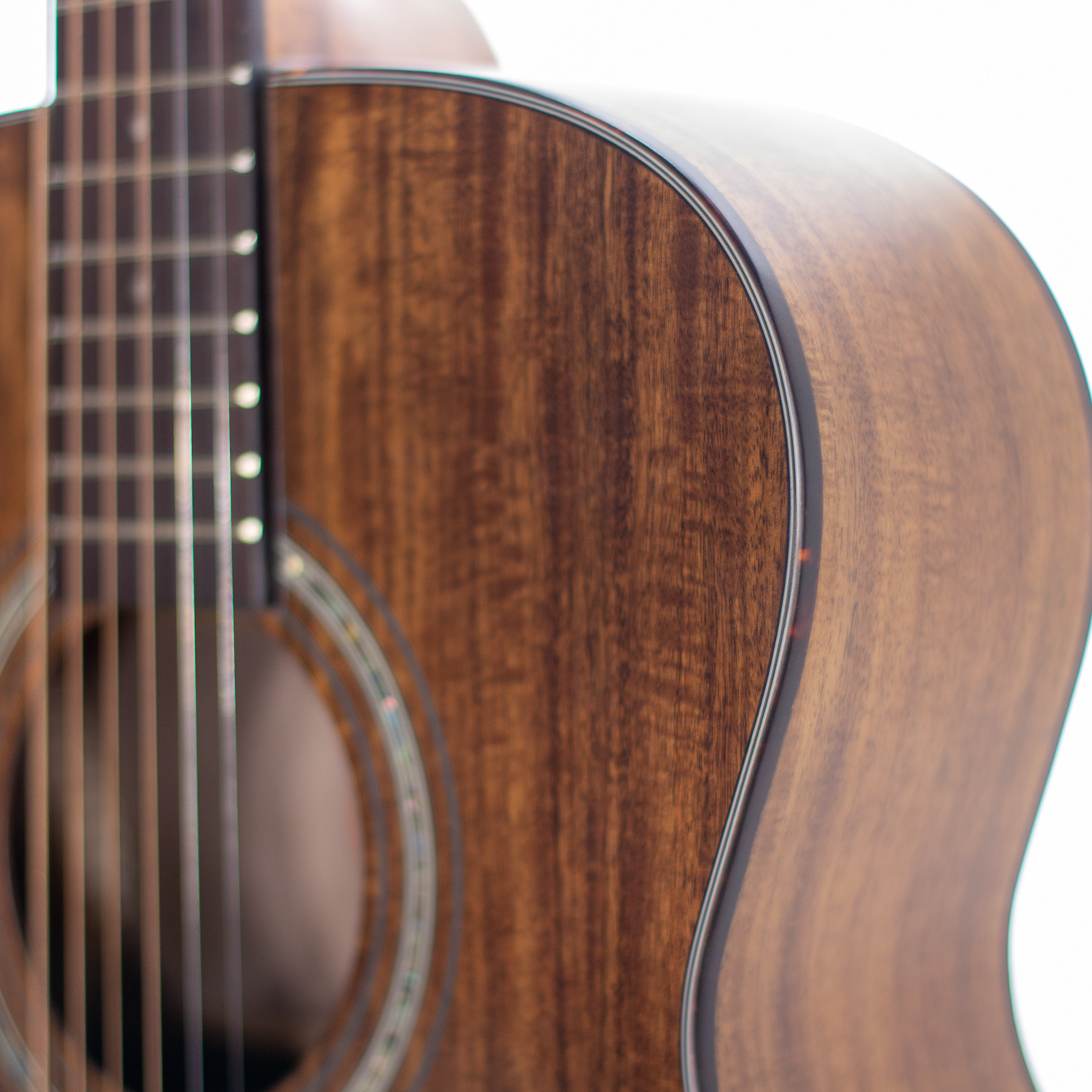 OM elettrificata koa