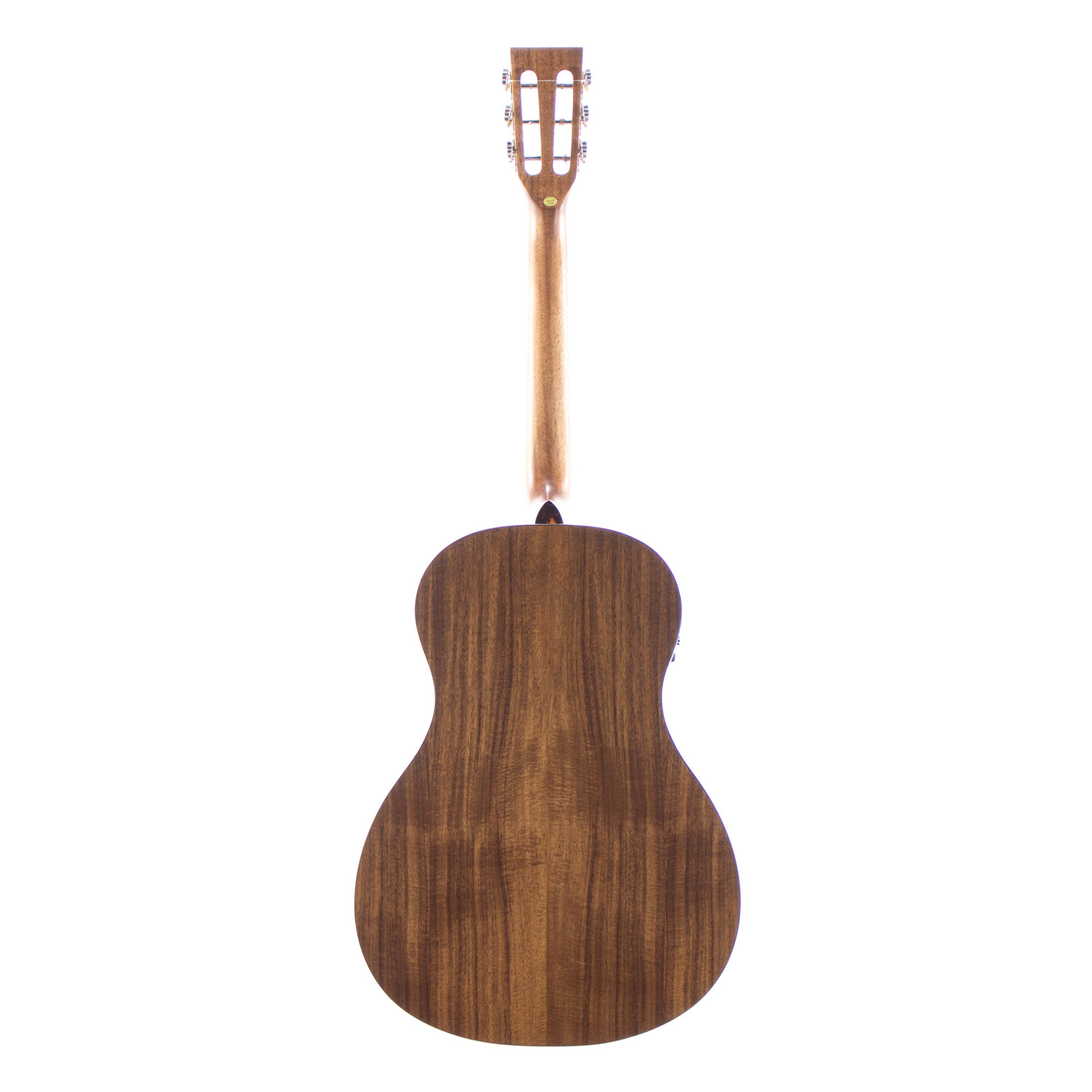 Parlor elettrificata koa