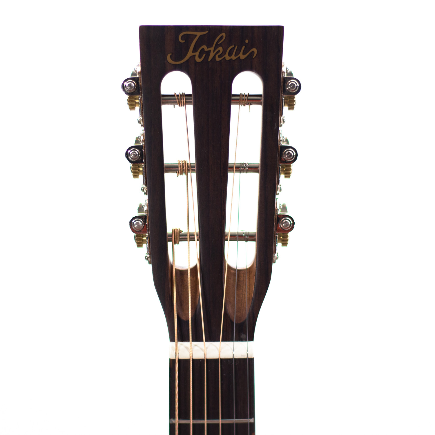 Parlor elettrificata koa