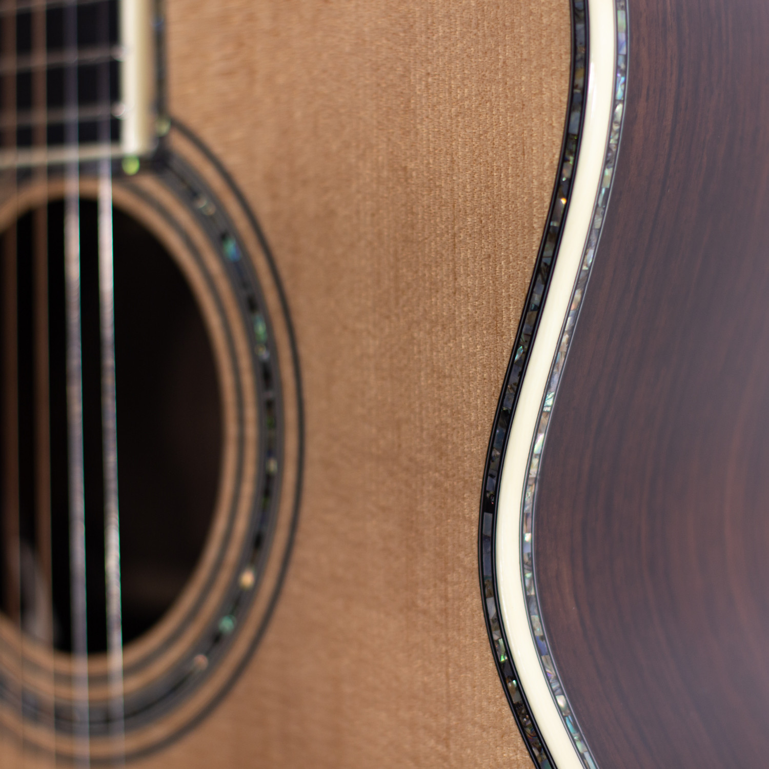 OM elettrificata natural