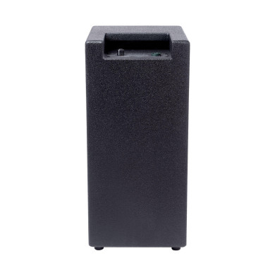 Cabinet 2x8 4 Ohms 200W