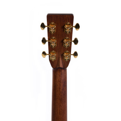Standard Dreadnought cutaway elettrificata