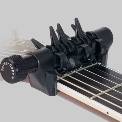 Spider capo standard