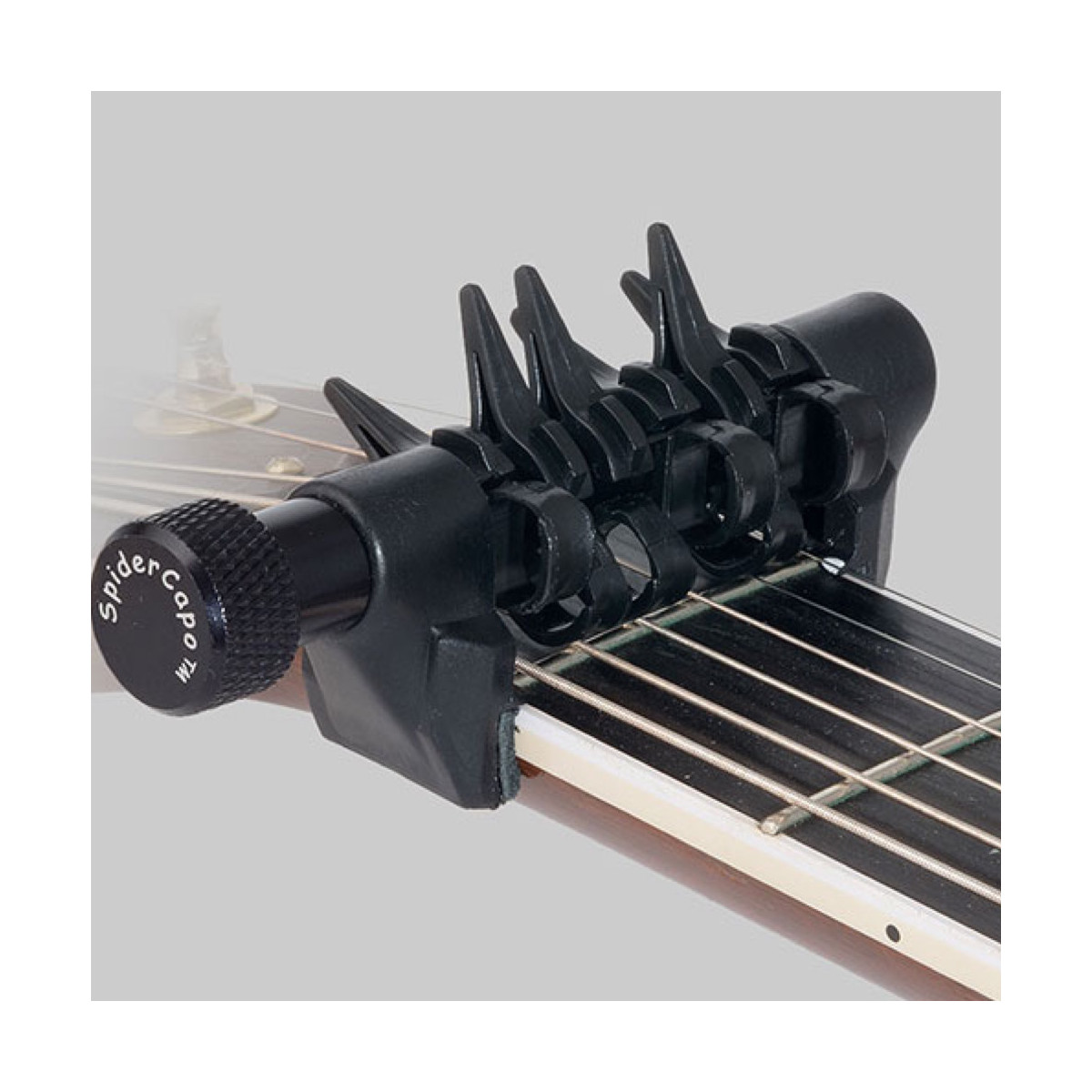 Spider capo standard