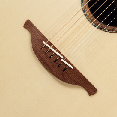 The 50 F-50-MR/AD elettrificata