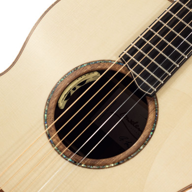 The 50 F-50-MR/AD elettrificata