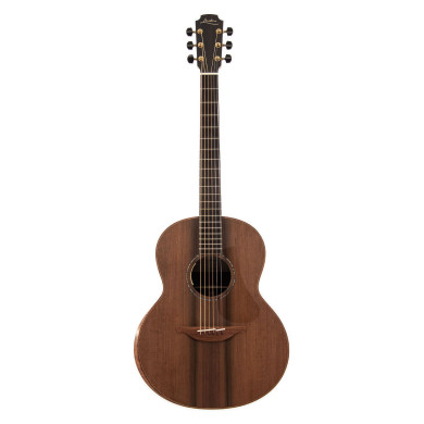 The 35 F-35-IR/RW elettrificata