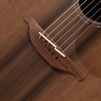 The 35 F-35-IR/RW elettrificata