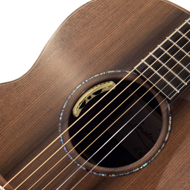 The 35 F-35-IR/RW elettrificata