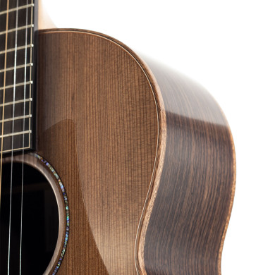 The 35 F-35-IR/RW elettrificata