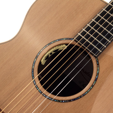 The 35 O-35C-WA/RC elettrificata