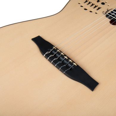 Multiac Nylon String Synth Access 2 Voice Natural