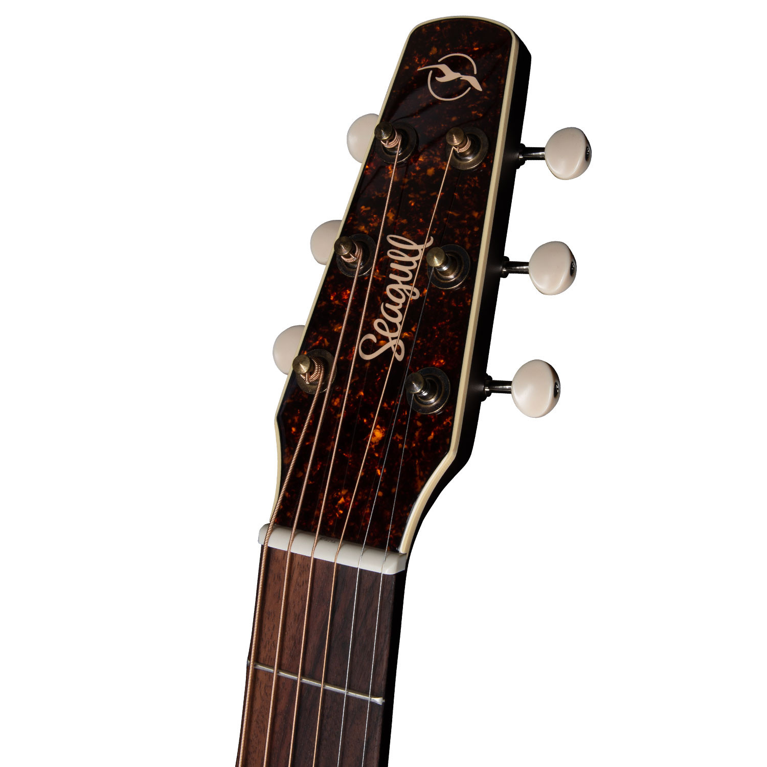 M6 Ltd Ruby Red CH EQ