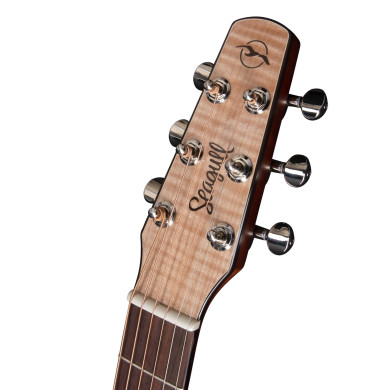 Performer CW HG Presys II