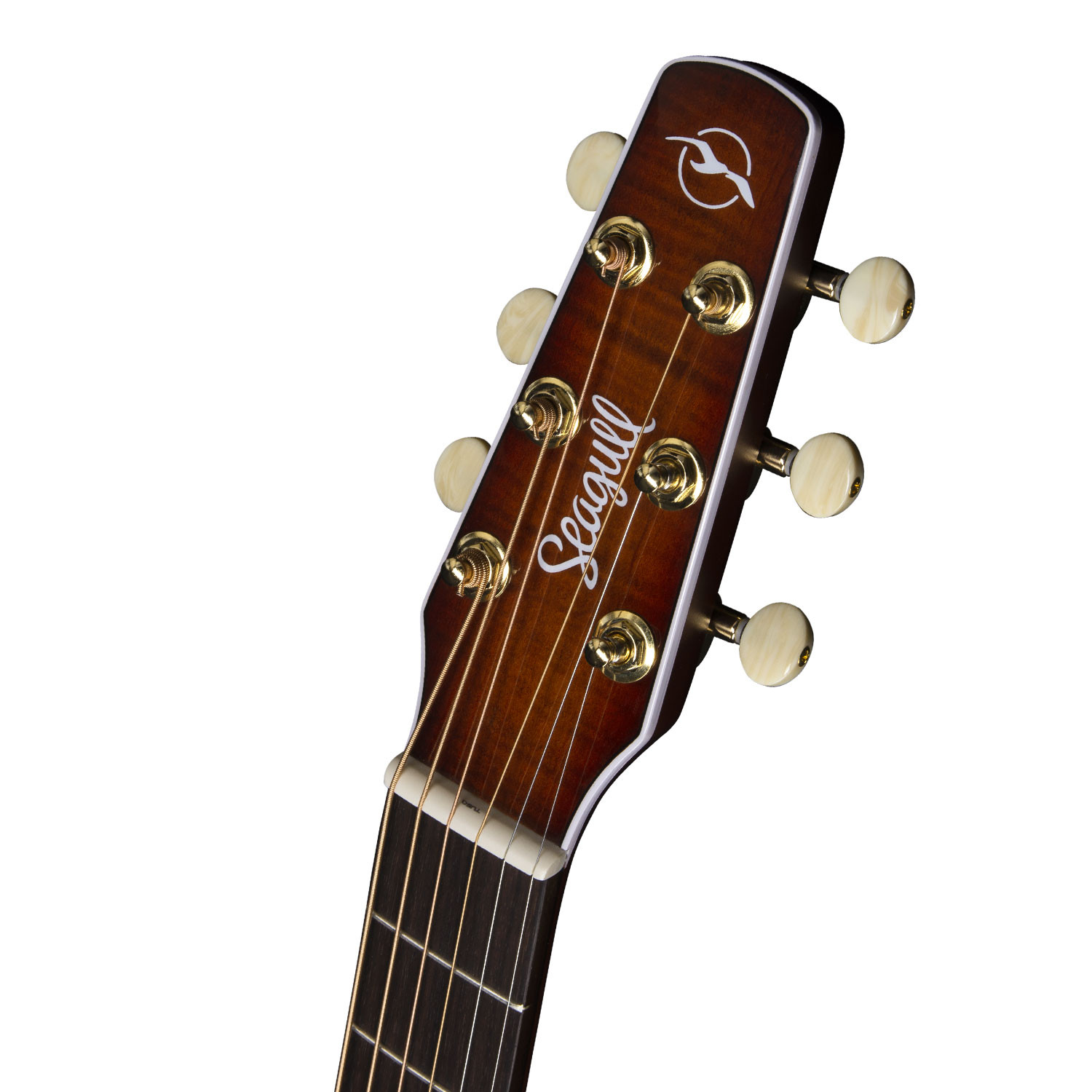 Performer CW CH Burnt Umber Presys II