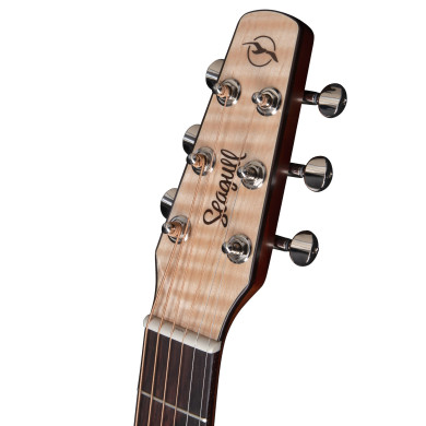 Performer CW Mini Jumbo HG Presys II